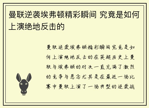 曼联逆袭埃弗顿精彩瞬间 究竟是如何上演绝地反击的